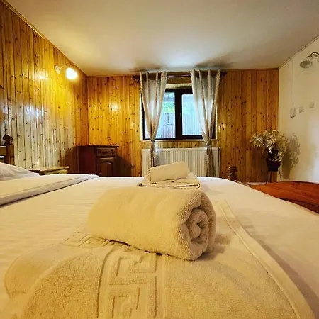 Carp Holiday home Busteni
